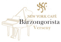 BZV logo 2011.jpg